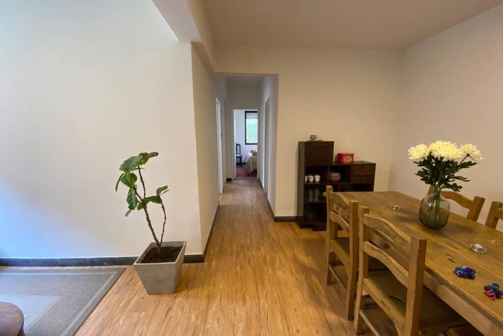 Departamento Centrico A Metros De Plaza Belgrano Apartment San Salvador de Jujuy Luaran gambar